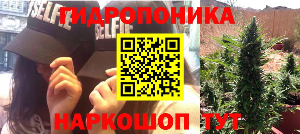Бошки Шишки VHQ Урус-Мартан